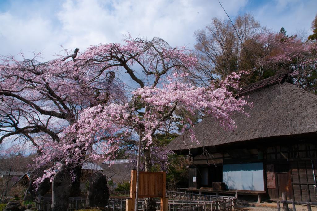 Villa Tombouctou Fujimi Esterno foto